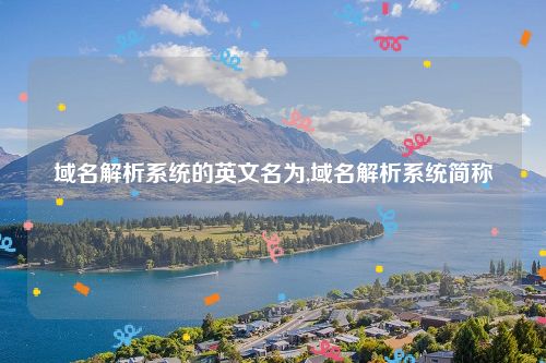 域名解析系统的英文名为,域名解析系统简称