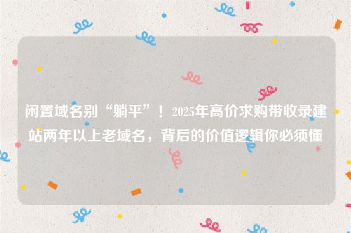 闲置域名别“躺平”！2025年高价求购带收录建站两年以上老域名，背后的价值逻辑你必须懂