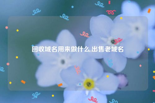 回收域名用来做什么,出售老域名